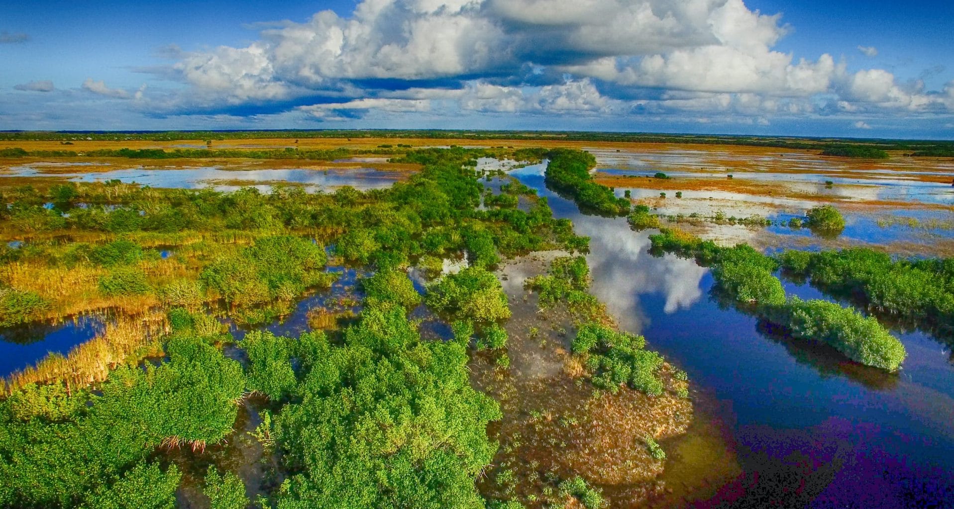 things to do in the Everglades